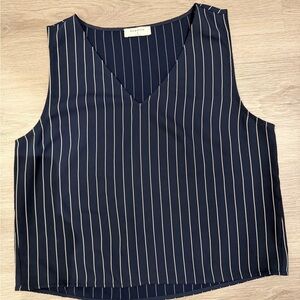Babaton Navy and White Striped V-Neck Blouse